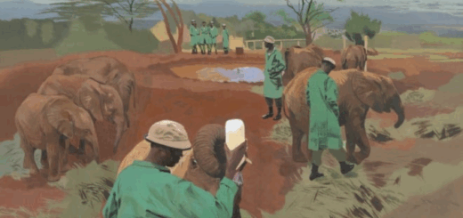 Copy of Wordpress Featured Image (1)