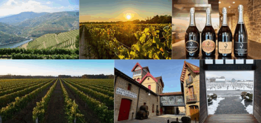 Copy of Wordpress Featured Image (4)