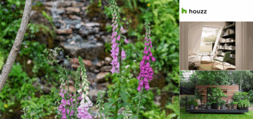 Copy of Wordpress Featured Image