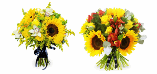 Copy of Wordpress Featured Image