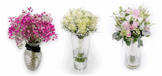 Copy of Wordpress Featured Image