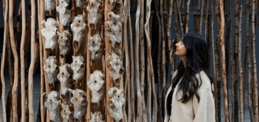 Copy of Wordpress Featured Image (2)