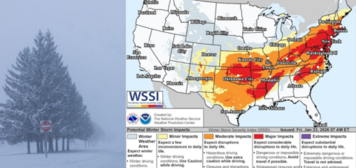 Copy of Wordpress Featured Image