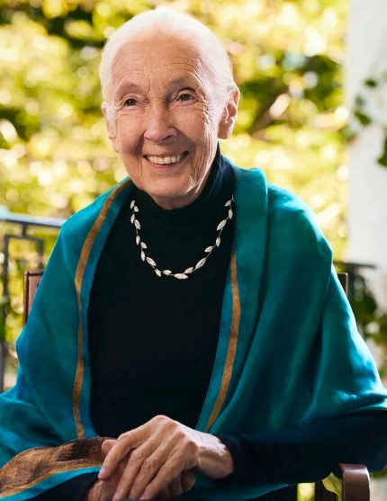 NYLAJ25 BE jane Goodall w olive branch necklace cropped.jpg