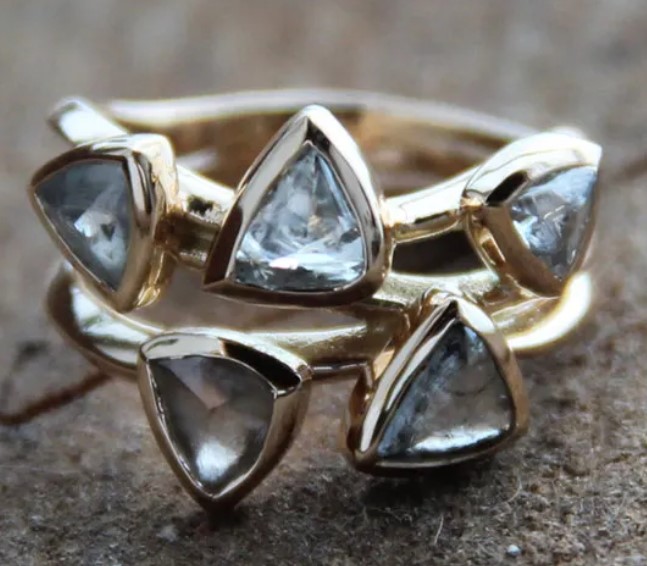 NYLAJ25 LL teaches classes ring.jpg