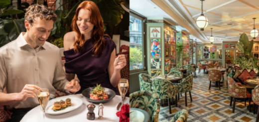 The Ivy Collection Valentine’s Day 2026