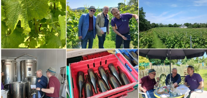 Irish Organic White Wine: The Story Behind Fáda’s Field of Dreams